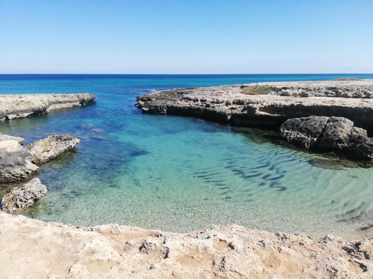 Appartamento Fico Puglia 圣维托诺曼 外观 照片