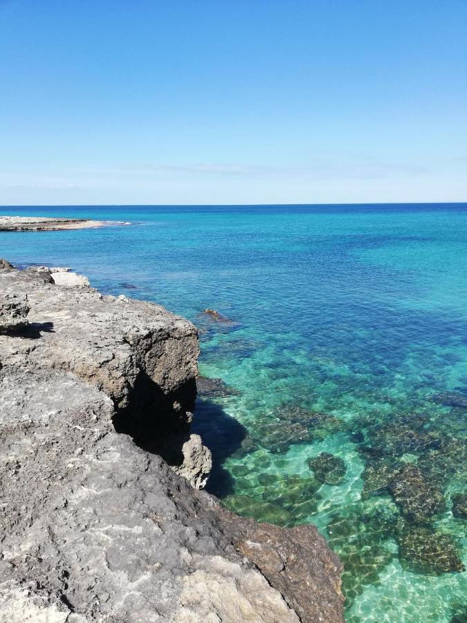 Appartamento Fico Puglia 圣维托诺曼 外观 照片